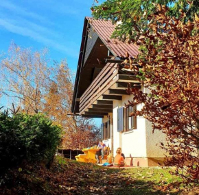 Pet & Family Friendly House Viktorija - house near Golica with Triglav view